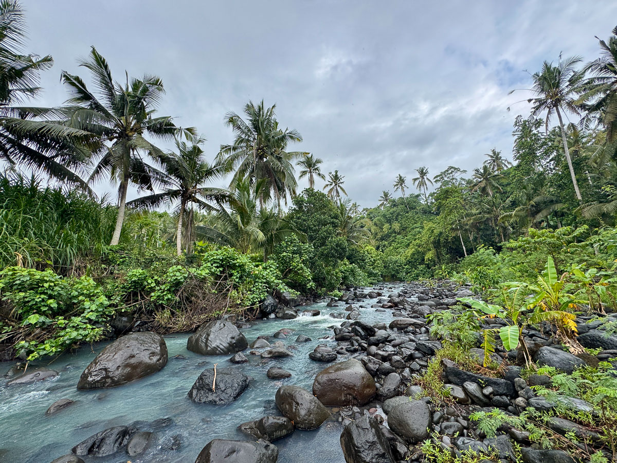 Jungle trip river