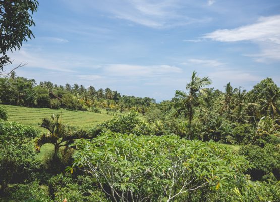 Anneliesfotografie_Bali_Villas_224
